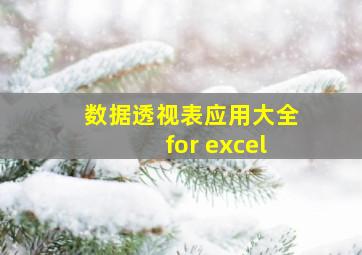 数据透视表应用大全for excel